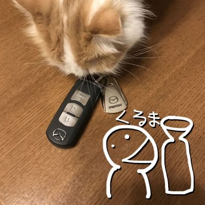 お酒と車と料理が好きなオッサンです。 ※本人の設定等少々フェイクや脚色がありますご了承ください。 YouYube: https://t.co/6bB0BUFheF サブ垢→@sakecarsGT