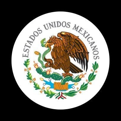 Mexicano, patriota, adversario del ignorante que se dice presidente.   Nacionalista 100%
