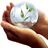 TheBubbleWorld's profile image