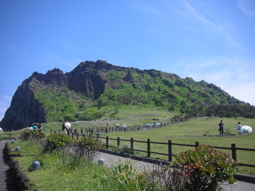 nock0903's profile picture. 