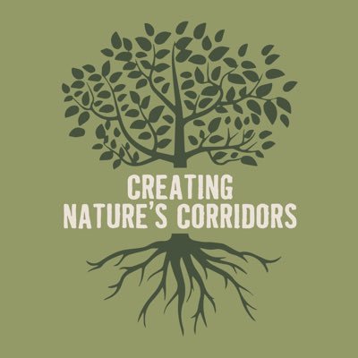 Creating corridors for nature by planting trees and hedges.