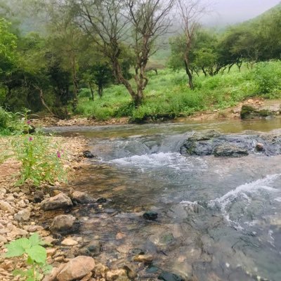 ahmed578588's profile picture. اذكر الله