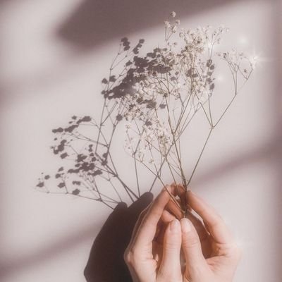 ahcintunnn's profile picture. 