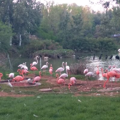 RebeccaHarry23's profile picture. 