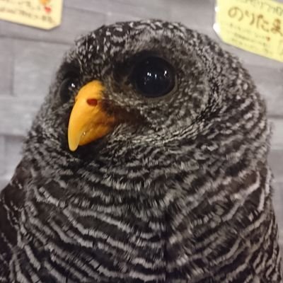 jerryfish_marry's profile picture. 日々の愚痴など