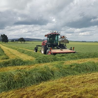 Small cropping program in the hills of Addington. Love machinery and innovative fabrication