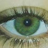 AmantaOuazani's profile picture. 