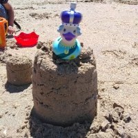 LAA (@lindaannarnold) 's Twitter Profile Photo