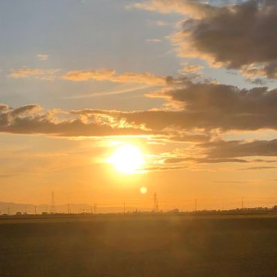 COCO30106715's profile picture. 見る専です。Just watch.