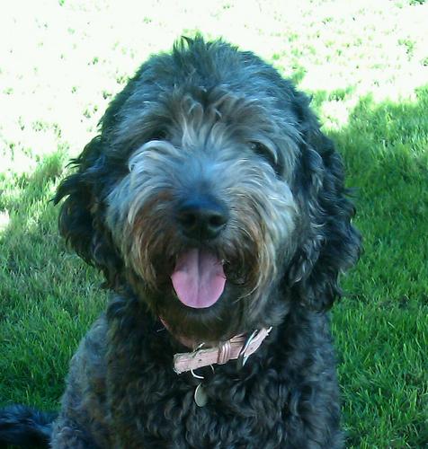 LauraAKeen's profile picture. 