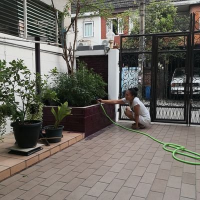 IvanBkk's profile picture. 