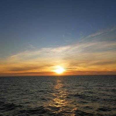 Davidpliego2's profile picture. 