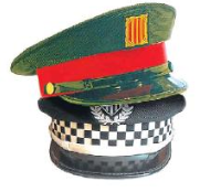 policiacat Profile Picture