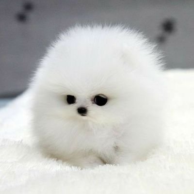 sm_kia's profile picture. life is too.....
.
.
Nevermind.