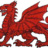 CricedLlandysul's profile image