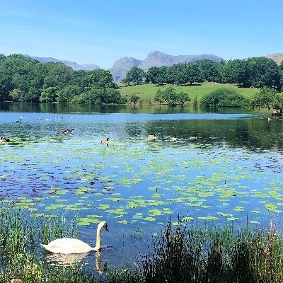 Gorgeous Lake District holiday cottages located in and around Cartmel Village and near Coniston Water