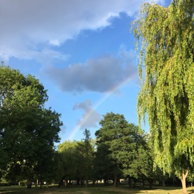 Passionate about the conservation of park in Kenton with rare trees, next to Wealdstone Brook