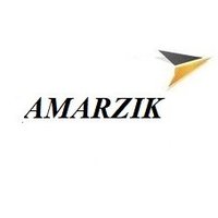 Amarzik(@AmarzikOfficial) 's Twitter Profile Photo