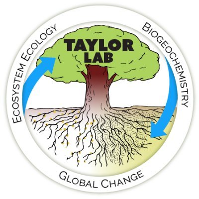 Taylor Lab at Harvard University's Department of Organismic and Evolutionary Biology and the Arnold Arboretum. We research ecosystem responses to global change.