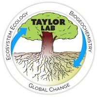 Taylor Lab - Harvard OEB & AA (@taylor_eco_lab) 's Twitter Profile Photo Taylor Lab - Harvard OEB & AA (@taylor_eco_lab) 's Twitter Profile Photo
