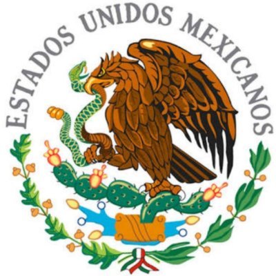 Ciudadano Mexicano, Analista Político