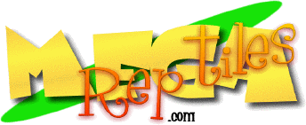 megareptiles's profile picture. http://t.co/kk4Kymuw3d UK Reptile Shop and Royal Python Breeder