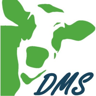 DMS advies