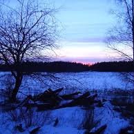 l_blomqvist's profile picture. Kreativ