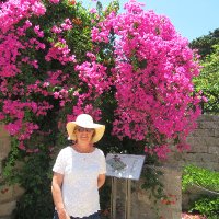 Sharon Love (@sharonclintrial) 's Twitter Profile