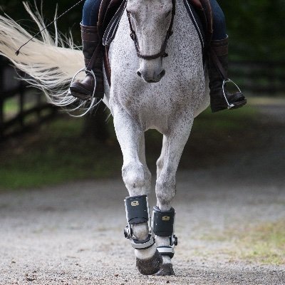 HorsePower Technologies is an animal healthcare and biotech company dedicated to combating equine lameness.