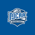 NJCAA Basketball (@NJCAABasketball) Twitter profile photo