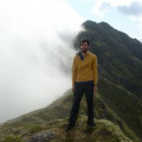 Peter Vickers (@pgjvickers) 's Twitter Profile