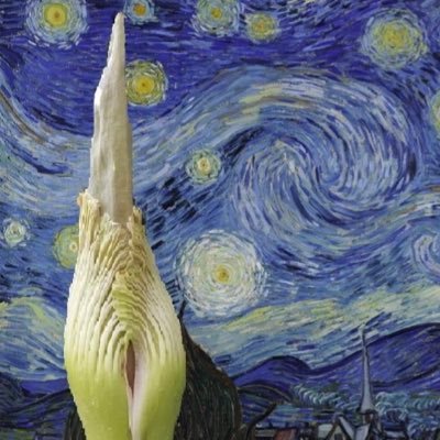 LegacyTreeKeepr's profile picture. Meet you at the stacks.                                       *Remember us*