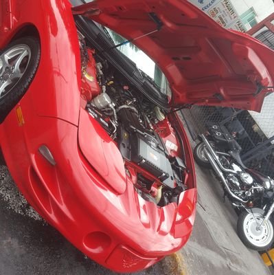 DanyRex17858030's profile picture. Motorcycles & Cars lover !!!