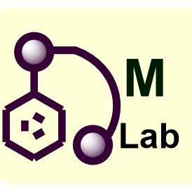 DM Lab IIT Bombay Profile