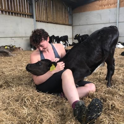 Newly qualified Mixed Vet, pursuing a career in farm practice. Key interest in cattle and sheep health.