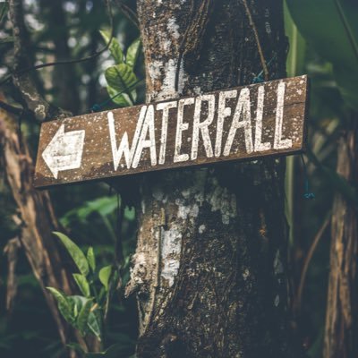 waterfallbr Profile Picture