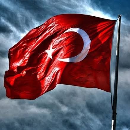 NecatiHzr61's profile picture. 