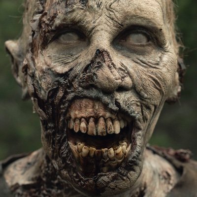 Zomboy93253648's profile picture. Not a Bhakt