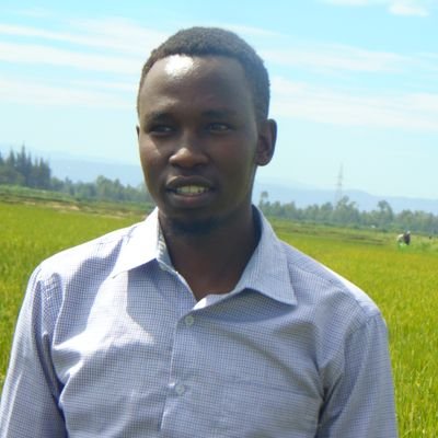 DavidLulaKing1's profile picture. 