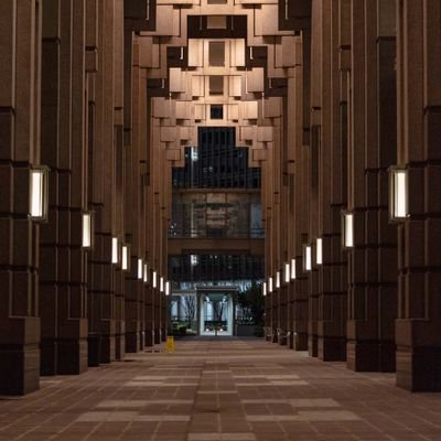 haywhizzy's profile picture. Optimist. #ManUtd