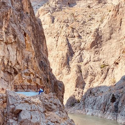 drkerimterzi's profile picture. 