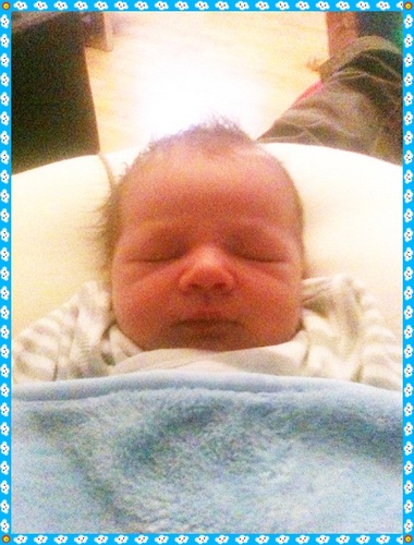 Bonnokater's profile picture. 