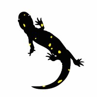 Stanford Conservation Program (@conservation_su) 's Twitter Profile