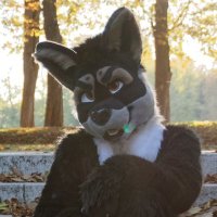 Gwein (@gweincalar) 's Twitter Profile Photo Gwein (@gweincalar) 's Twitter Profile Photo
