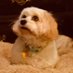 OnlyJesusSaves ✝️🇺🇸✡️🇮🇱🎗️💝💙🐶🫶🏻 (@emmaus18) Twitter profile photo OnlyJesusSaves ✝️🇺🇸✡️🇮🇱🎗️💝💙🐶🫶🏻 (@emmaus18) Twitter profile photo