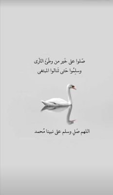 باحثه وطالبه دكتوراه 🌹