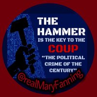 TheAmericanReport.Org(@realMaryFanning) 's Twitter Profile Photo