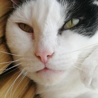 Mal :D (@thatguyded) 's Twitter Profile