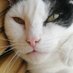 Mal :D (@thatguyded) Twitter profile photo Mal :D (@thatguyded) Twitter profile photo